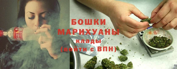 ПСИЛОЦИБИНОВЫЕ ГРИБЫ Остров