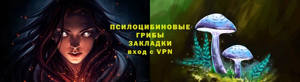ПСИЛОЦИБИНОВЫЕ ГРИБЫ Остров