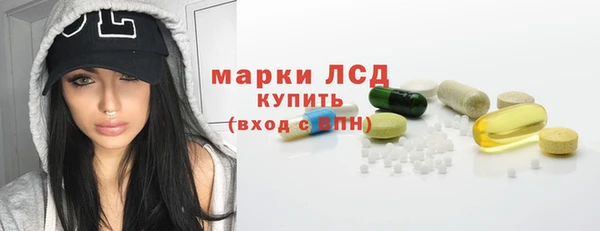 крисы Новодвинск